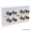Speaker Wall plate for 4 speaker 1 sub.