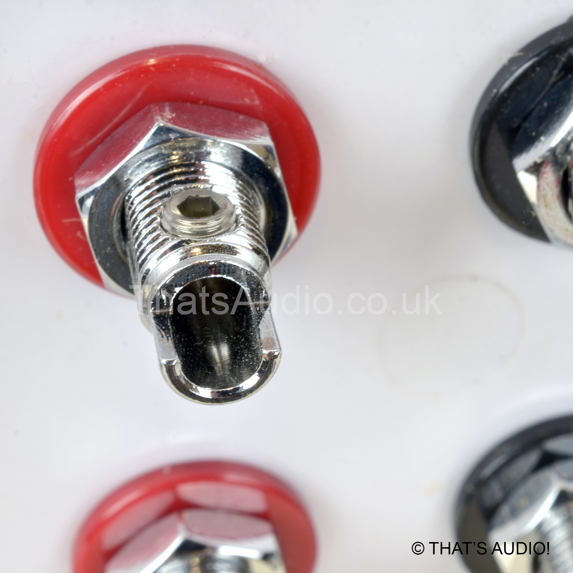 Speaker Wall Plate for 1 Speaker - Image 5