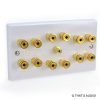 wall plate for 6 speakers and 1 sub woofer