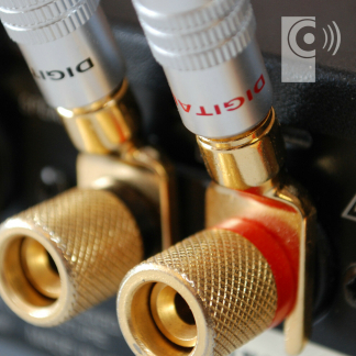 2 x EDGE Gold plated Y Fork Speaker Spade /Amp cable connector
