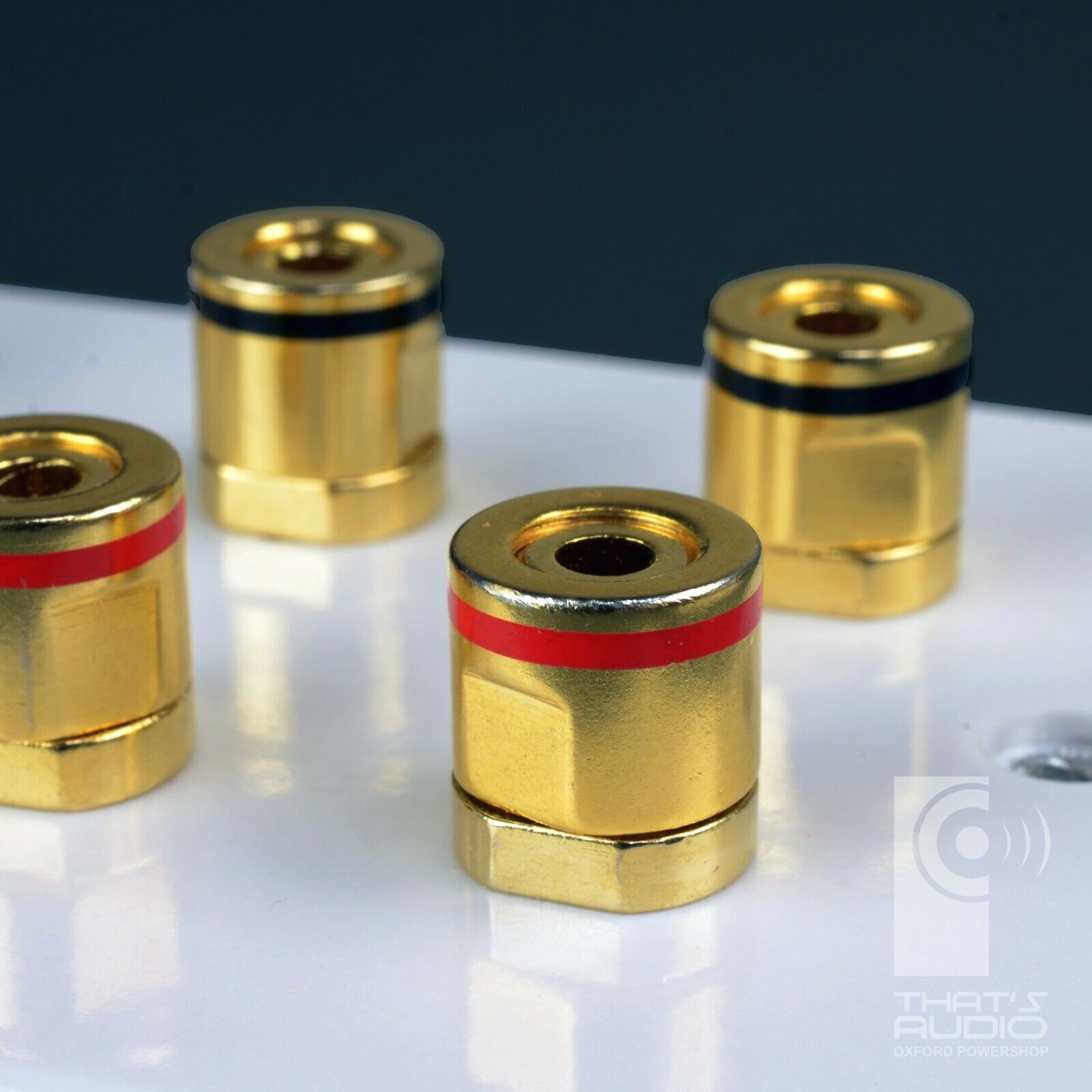 Speaker Wall Face Plate for 4 Speakers AND 1 Sub Woofer (4:1) (Non-Solder) - Image 2