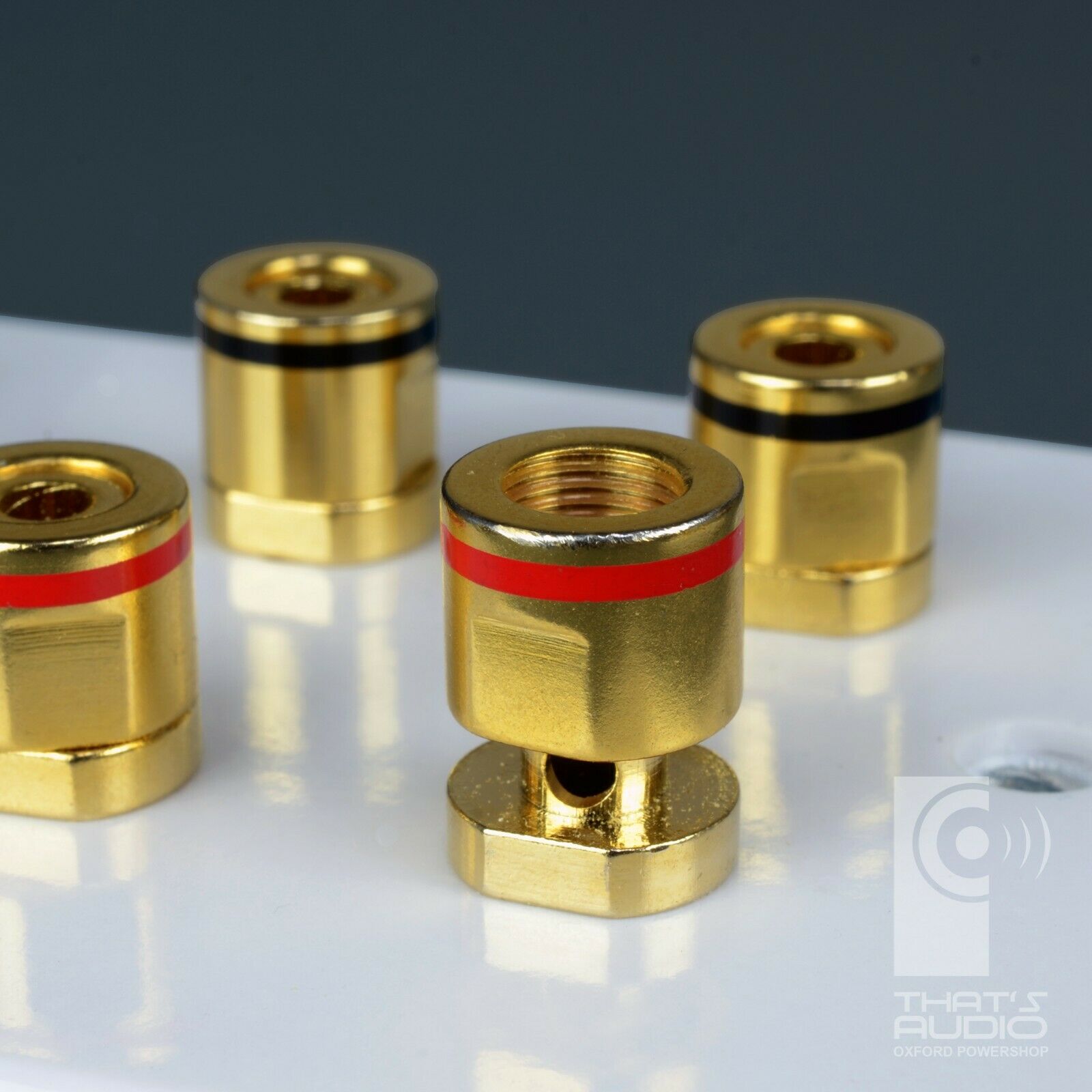 Speaker Wall Face Plate for 4 Speakers AND 1 Sub Woofer (4:1) (Non-Solder) - Image 4