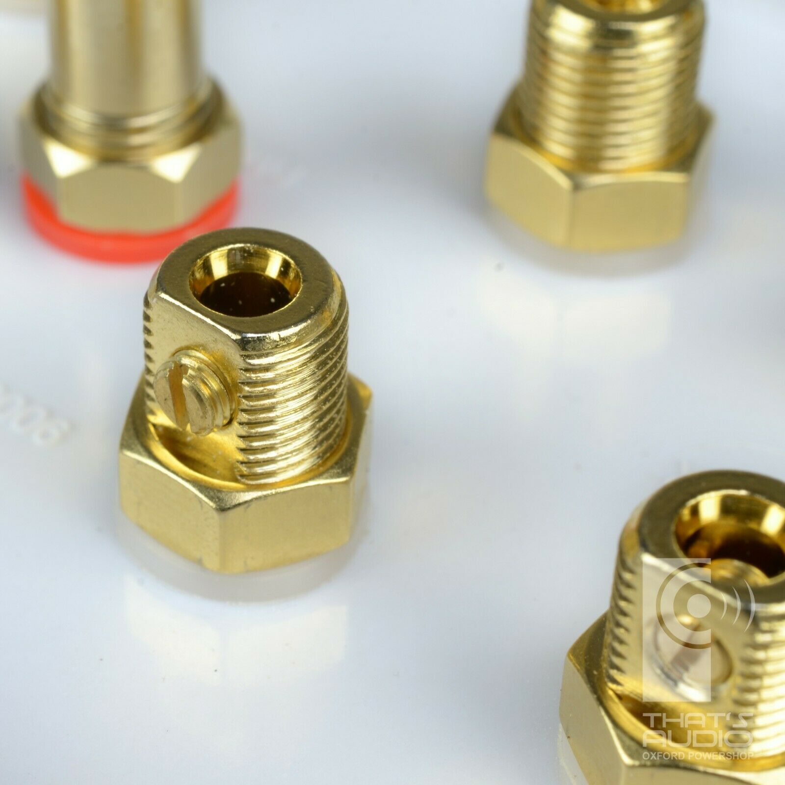 Speaker Wall Face Plate for 4 Speakers AND 1 Sub Woofer (4:1) (Non-Solder) - Image 5