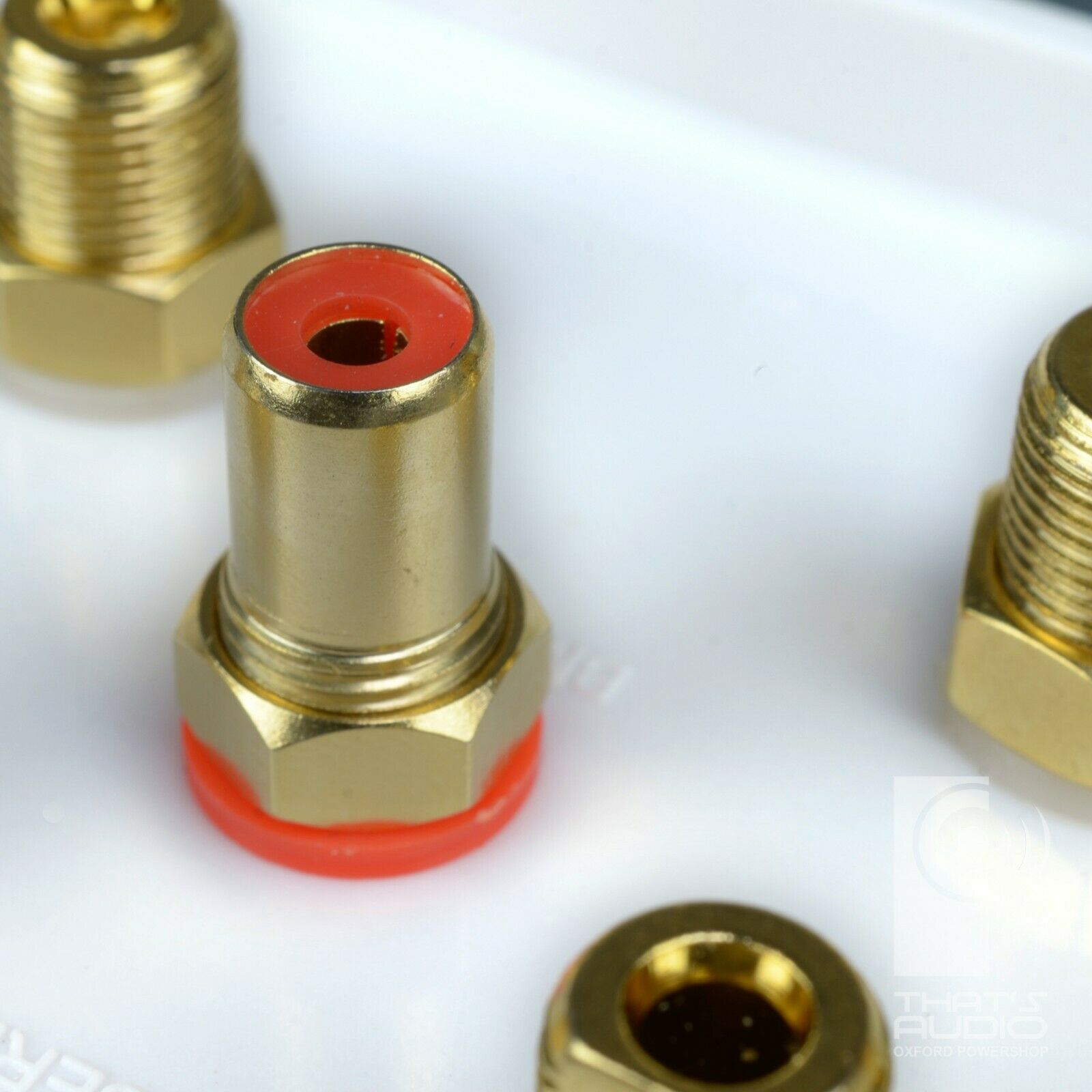 Speaker Wall Face Plate for 4 Speakers AND 1 Sub Woofer (4:1) (Non-Solder) - Image 6