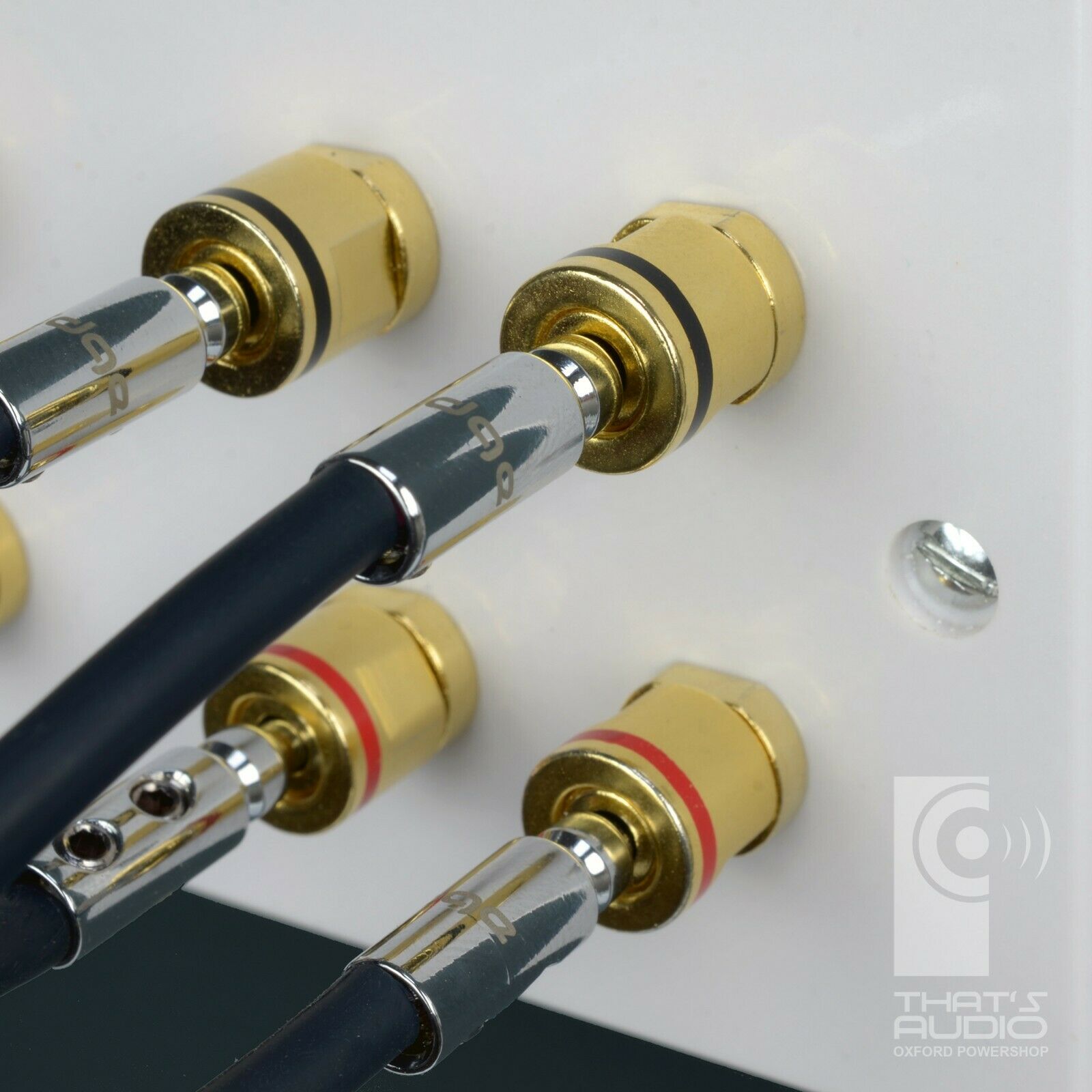 Speaker Wall Face Plate for 4 Speakers AND 1 Sub Woofer (4:1) (Non-Solder) - Image 7